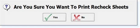 - 'Recheck Sheet' Prompt -